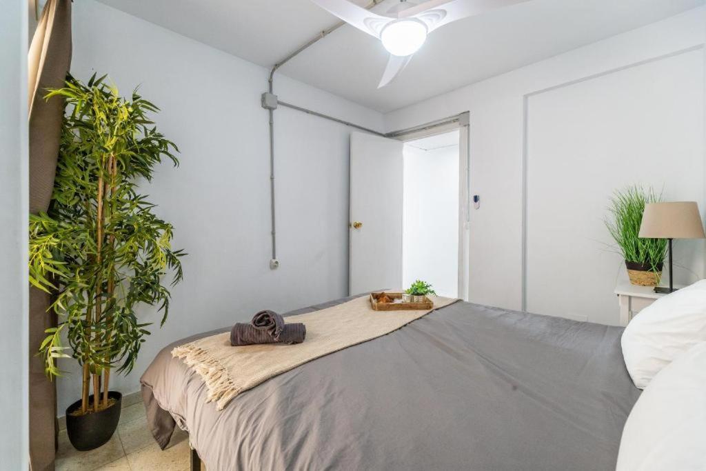 Seaside Boutique Apartment פואנגירולה מראה חיצוני תמונה